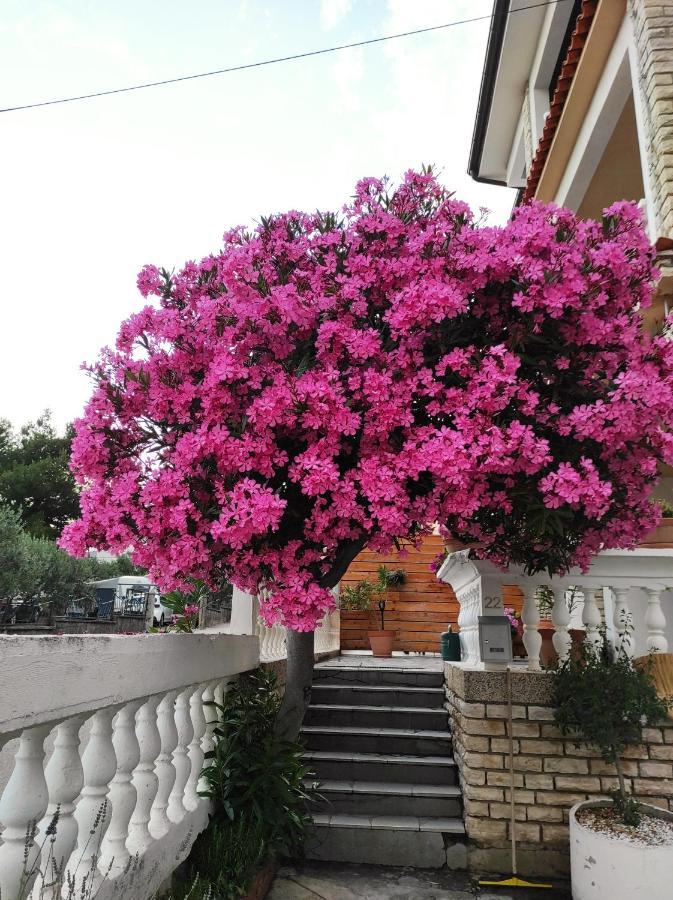 Apartments And Rooms Bozena Vodice Exterior photo
